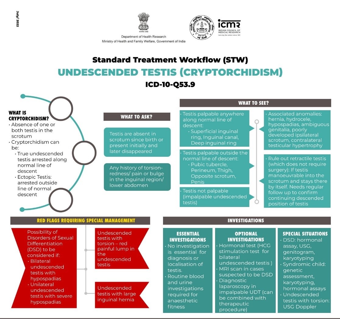 Undescended Testis (Cryptorchidism)